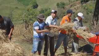 preview picture of video 'CHALACO 2013  (Cargando trancas ) HD'