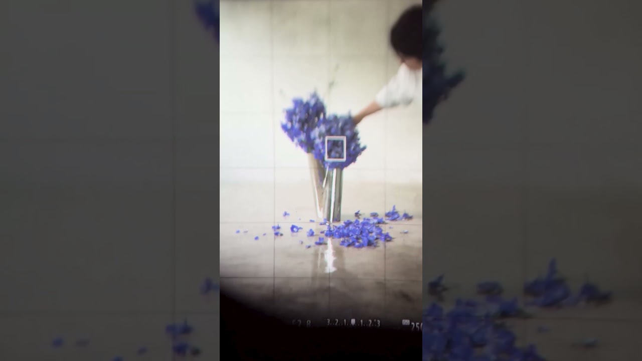 Lituus Vases – Elevate Your Flower Arrangements with Frida Kim