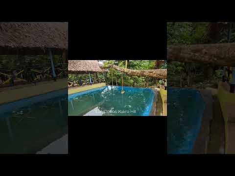 Los Cocos Kukra Hill #reggae #nicaragua #blogs #ar