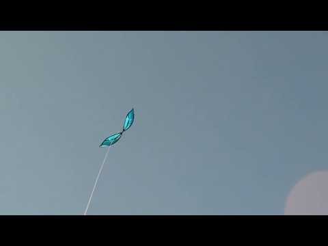 Magic Butterfly (Magic Wing Kite) developed by Rudiger Groning