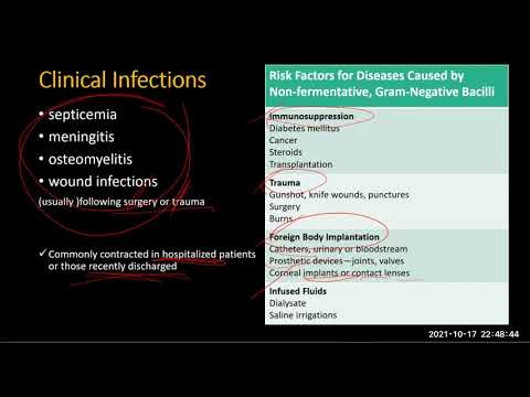 Non-fermentative Gram negative bacilli