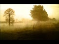 Ablaze in Hatred - A Walk Through the Silence 