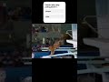 Animal Diving Olympics Hilarious Pool Jump Contest Shorts Shortvideo