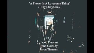 "A Flower Is A Lovesome Thing" (Billy Strayhorn) Jacob Duncan, John Goldsby, Jason Tiemann
