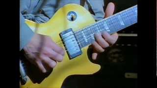 Bird of Paradise - Snowy White - HD  ô¿~