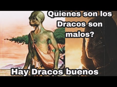 Los Dracos no son todos negativos como se cuenta|| Estos son los Dracos negativos