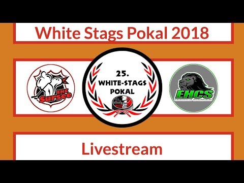 WSP 2018 - EHC Sursee vs EHC Schwarzenburg