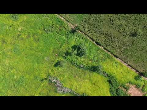 Fazenda Santa fé Mãe do Rio Pará 