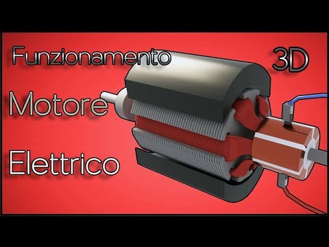 DC Electric Motor 3D Operation ⚙️