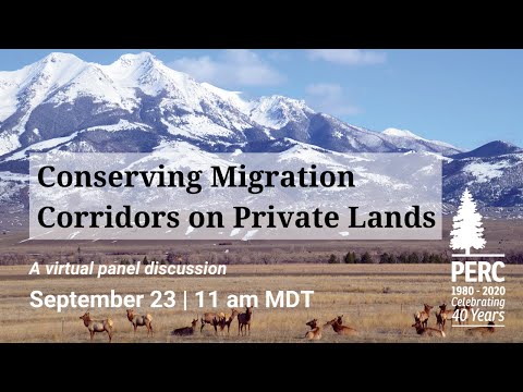 Webinar: Conserving Migration Corridors on Private Lands