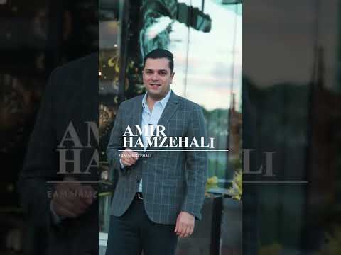 AmirHamzehali_Northvancouver_Listing