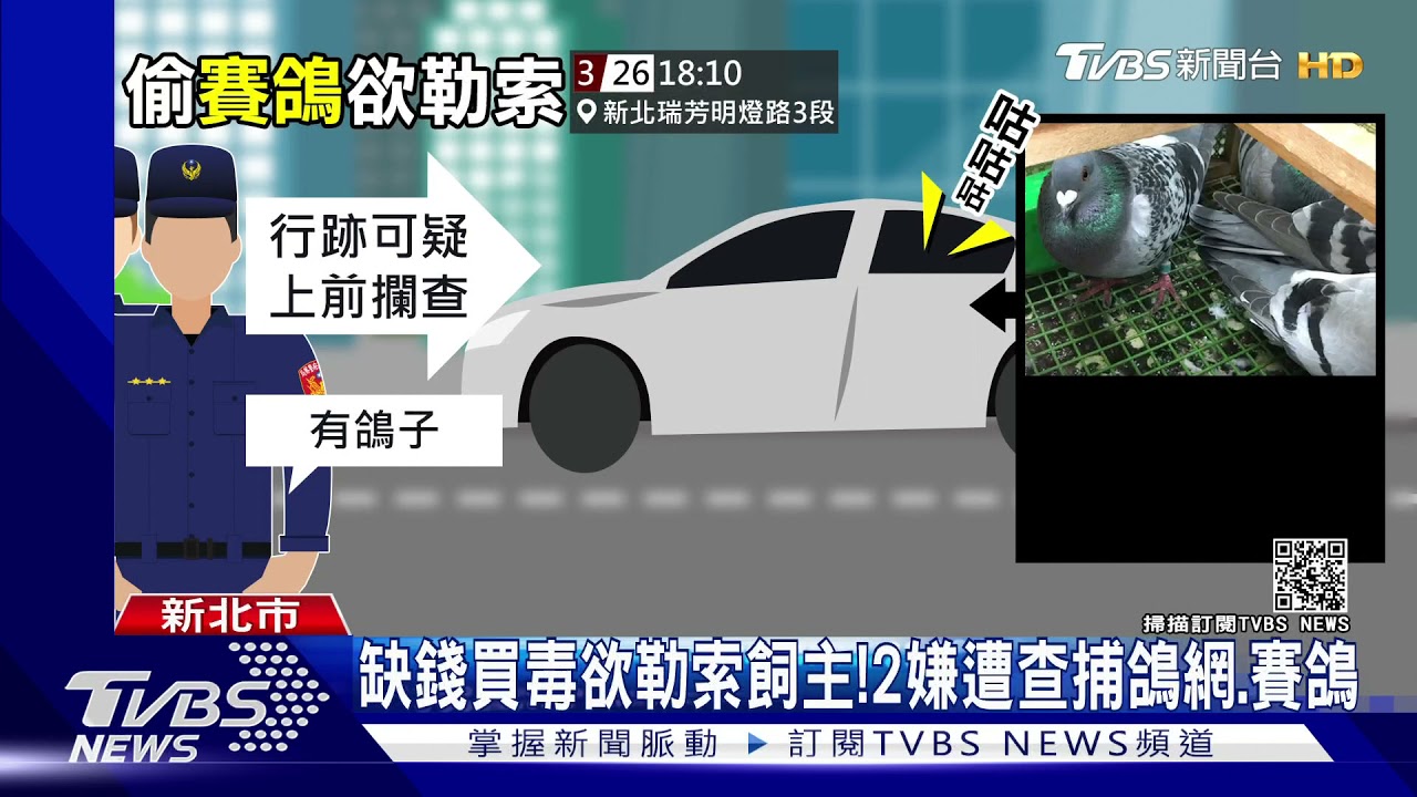 後座傳咕咕聲!嫌偷鴿欲勒索飼主 警好耳力救13隻