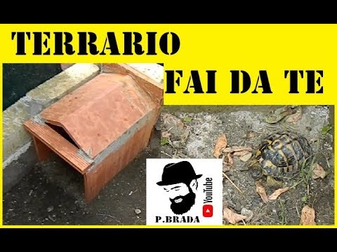 Loro da parassiti un dirofilyariya Come correttamente per consegnare al bambino raschiano su vermi