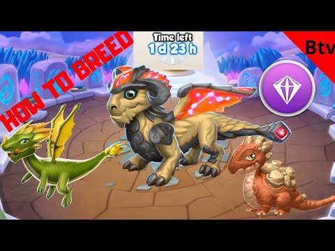 DML - How to breed ARIES dragon #43