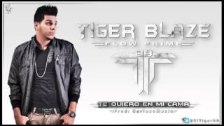 Tiger Blaze - Te Quiero En Mi Cama (NEW 2013) (@Mun2DlaMusica)