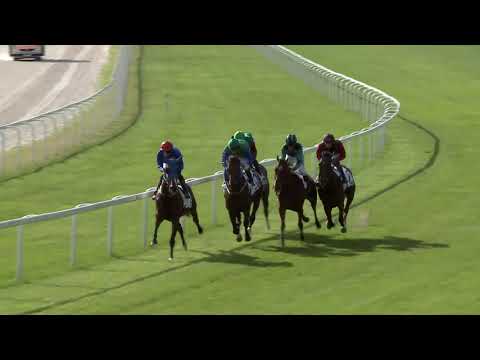 2020.08.23. 06. futam - AGRÁRMINISZTÉRIUM DÍJA -BUCCANEER DÍJ (Elit kat.)