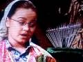 Demi Lovato On Barney