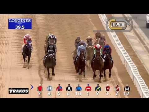 DWC 2016 - Race 2 - Godolphin Mile Sponsored By Meydan Sobha