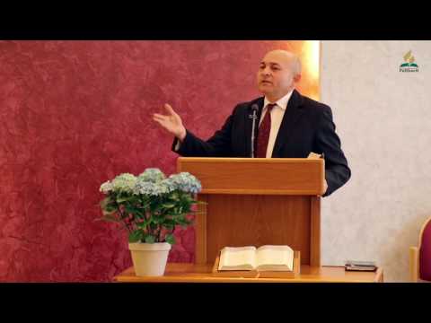 Dragomir Palko, Fellbach 11.03.2017  -  ,,Raspadaju se kao ne razumna životinja"