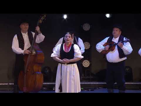 Ansambl LADO nastupima oduševio Dubai