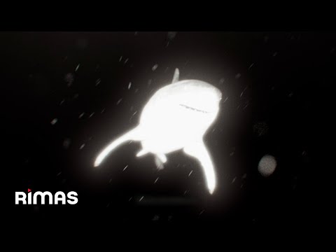 Miniatura de Pikaita