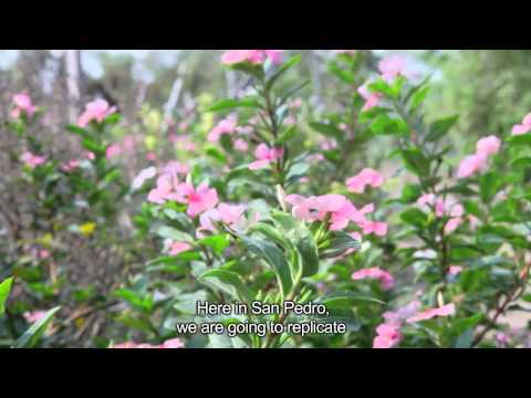 Self-Sustainable Education in Paraguay