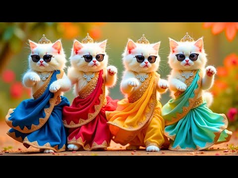बिल्ली डांस | Cutest Cat videos funny dance🤣💃Videos for cats #funny #dancingcat #cat @Meow_cat99