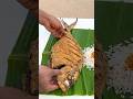Udupi Fish Fry Shorts