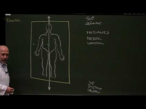 Anatomie générale 1 : Définitions générales et ostéologie [Intro to anatomy-auto dubbed lecture]