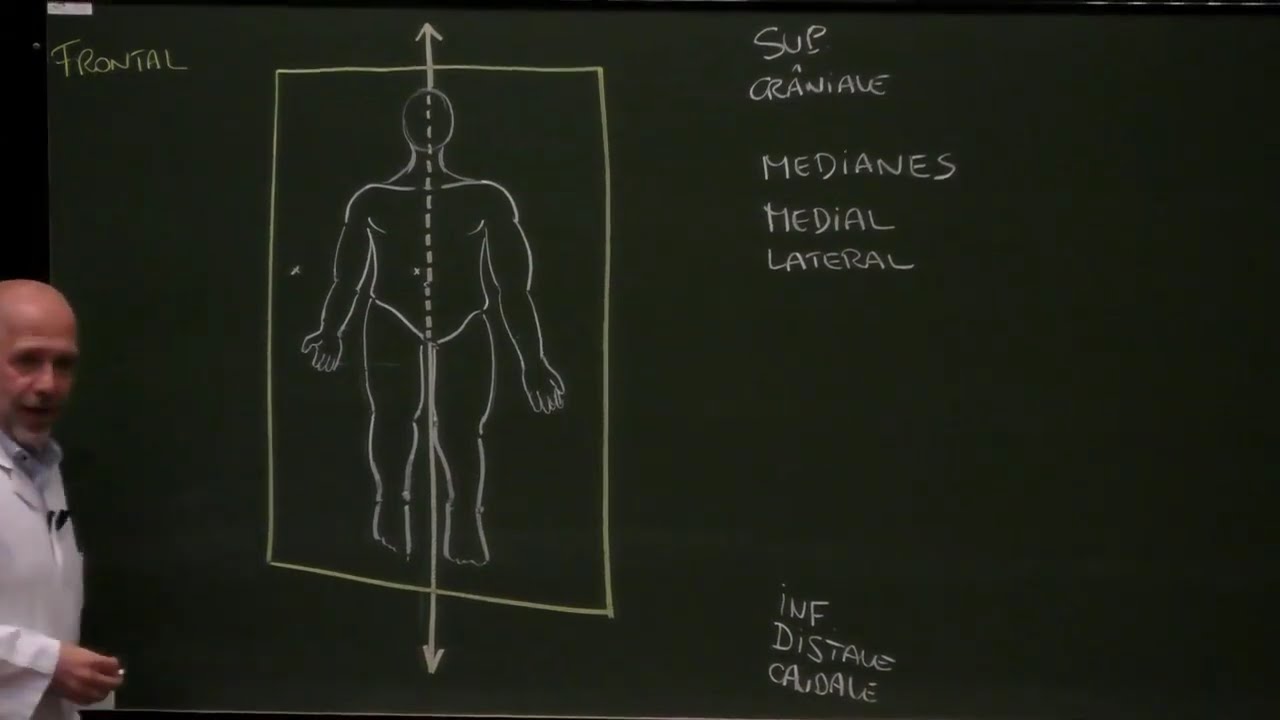 Anatomie générale 1 : Définitions générales et ostéologie [Intro to anatomy-auto dubbed lecture]