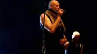 Hotel Hobbies/Warm wet cricles, Fish 2007