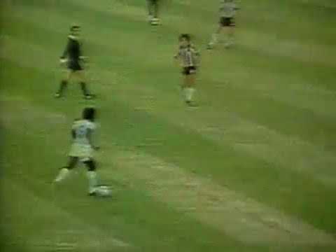 Fluminense 4 x 0 Botafogo Carioca 1980