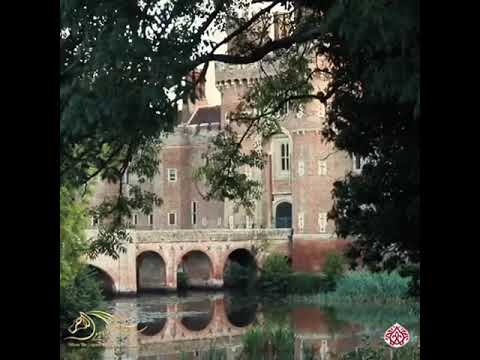 البطل اصايل رهيب 👑