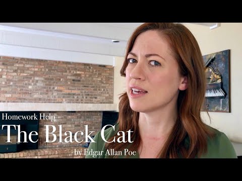 THE BLACK CAT by Edgar Allan Poe Summary & Analysis