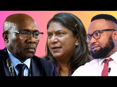 Did Andrea Johnson mislead parliament?