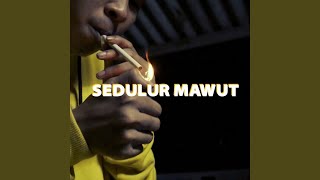 Download lagu Sedulur Mawut mp3