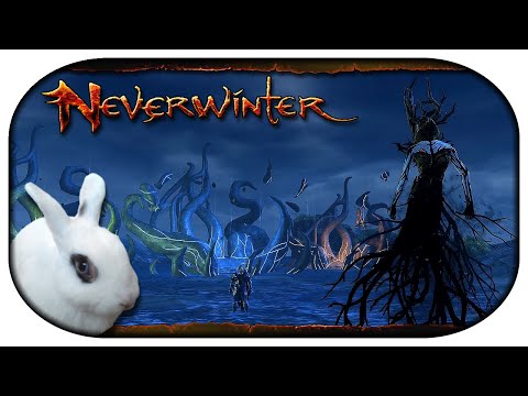 NEVERWINTER: Paladin-LP 🐇 178 - Wo alles begann
