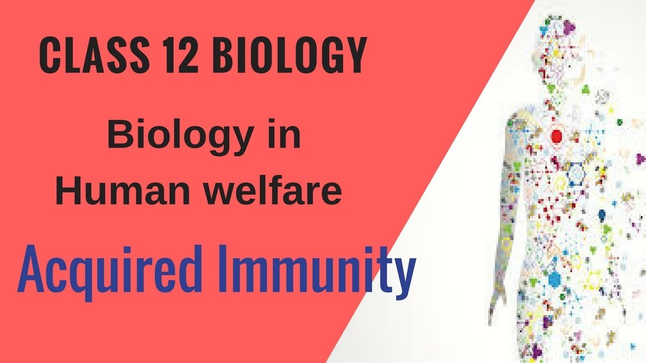 Biology in Human welfare For Class 12 - Acquired immunity