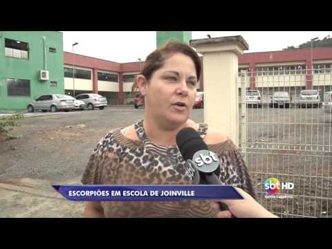 Escorpiões em escola - Maikon Costa/Oziel Montibeler