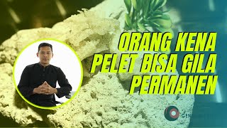 Download lagu Apa Yang Menyebabkan Orang Yang Kena Pelet Itu Bisa Gila mp3 Download lagu Apa Yang Menyebabkan Orang Yang Kena Pelet Itu Bisa Gila mp3