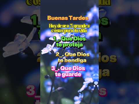 Buenas tardes | #shorts #buenastardes