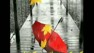 Whats app status video 🕰🎶