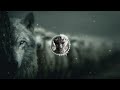 Silent Snow - the chase #melodic #cadence #wolves 