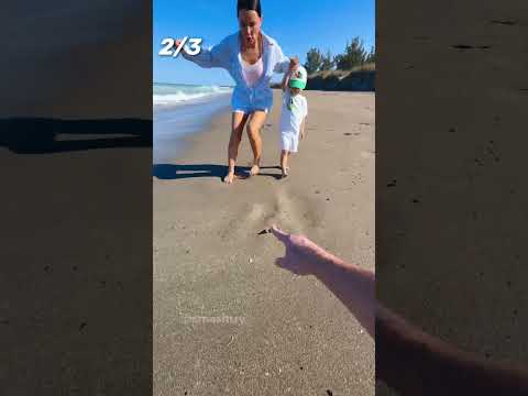 TOP 3. Be Careful Walking on the Beach! part 37