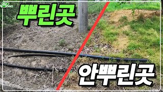 180일 동안 잡초가 안자란다 ㅣ 안하면 손해 ㅣ 제초 안하는 방법