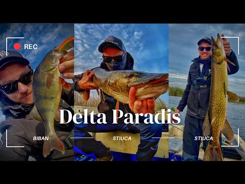 Incinta Delta Paradis, paradisul Stiucilor din Romania!