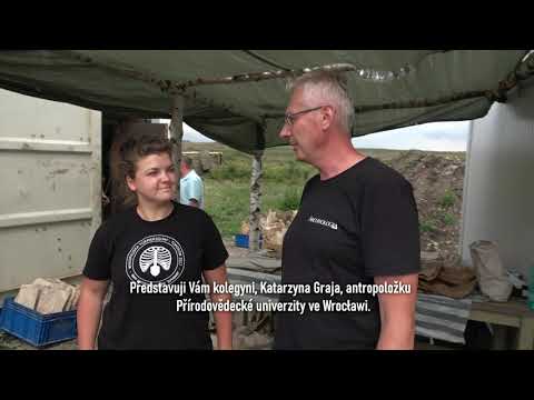 Záchranný archeologický výzkum - Libkovice 2019