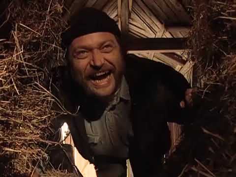 Back on the Farm 🧑‍🌾 (Full Film) with Little Grey Fergie! 🚜