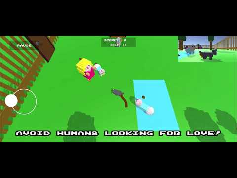 Snobby Cat video thumbnail