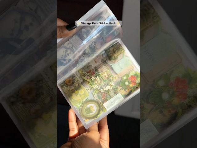 Vídeo relacionado con Cute Pegatinas 200pcs, Aesthetic Kawaii Stickers Vinilo Impermeables para Scrapbooking, Bullet Journal, Diario, Álbum de Fotos, Bcicleta (Aesthetic)